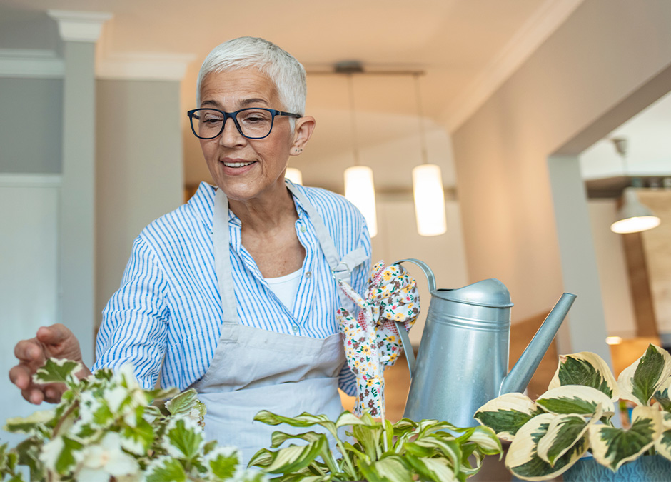 The best houseplants to relieve Stress & Anxiety